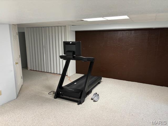 15020 Jamestown Rd, Breese, IL 62230 - exercise area featuring light colored carpet