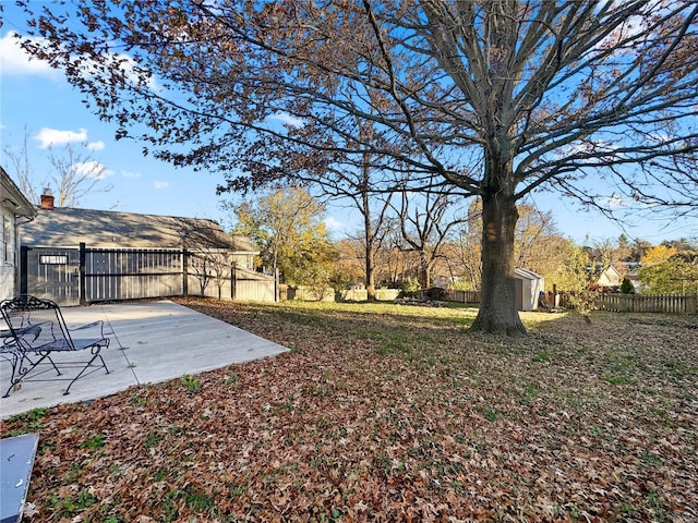 fenced backyard with a storage shed, a patio, and an outdoor structure