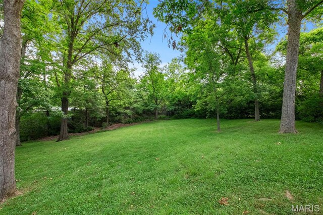 5 Ladue Rdg, Saint Louis, MO 63124 - photo 46