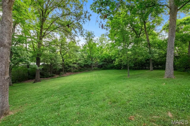5 Ladue Rdg, Saint Louis, MO 63124 - photo 58