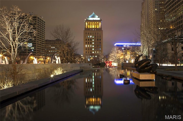 1113 Washington Ave Unit 215, Saint Louis, MO 63101 - city view