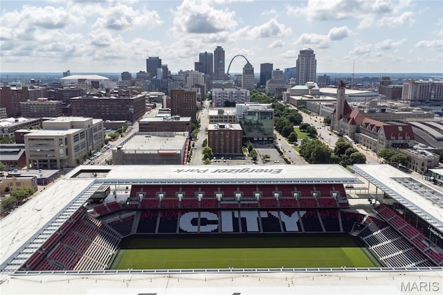 1113 Washington Ave Unit 215, Saint Louis, MO 63101 - skyline view