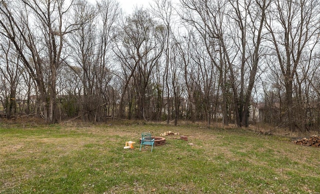 704 Ogle Dr, Richland, MO 65556 - view of green lawn