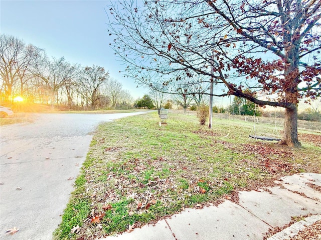 2560 Birch St, Doe Run, MO 63637 - view of road