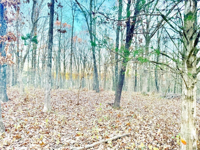 2560 Birch St, Doe Run, MO 63637 - view of tree filled area