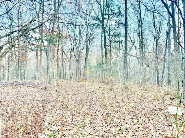 2560 Birch St, Doe Run, MO 63637 - view of woods
