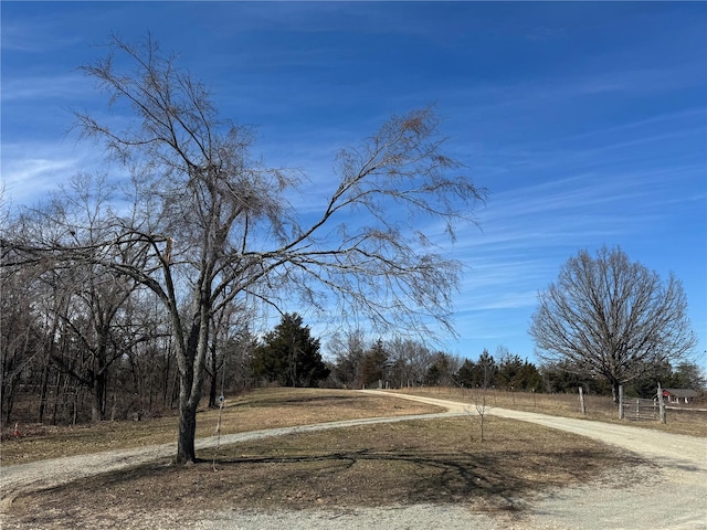 2560 Birch St, Doe Run, MO 63637 - view of road