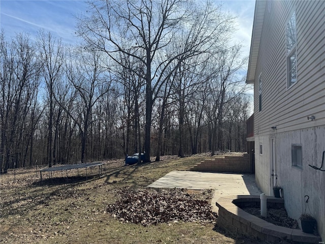2560 Birch St, Doe Run, MO 63637 - view of yard with a trampoline, a patio, and a forest view