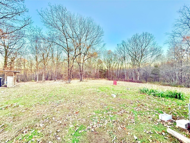 2560 Birch St, Doe Run, MO 63637 - view of green lawn