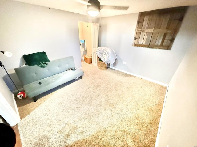 2560 Birch St, Doe Run, MO 63637 - sitting room with carpet floors