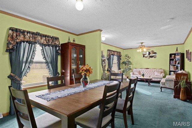 1495 Woburn Ave, Greenville, IL 62246 - photo 5