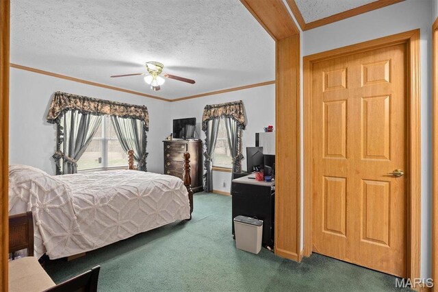 1495 Woburn Ave, Greenville, IL 62246 - photo 16