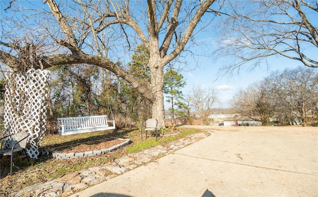 203 Borth St, Doniphan, MO 63935 - view of yard