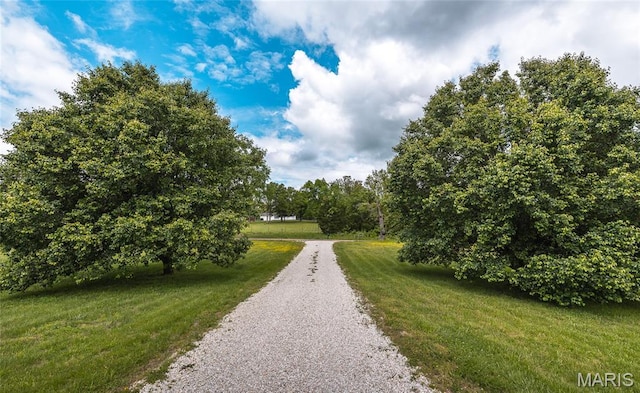 14280 County Road 8100, Rolla, MO 65401 - view of road