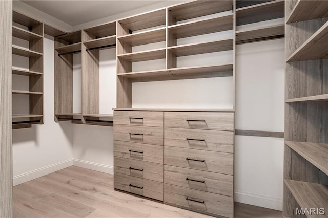 19 Beaver Dr, Creve Coeur, MO 63141 - spacious closet with light wood finished floors