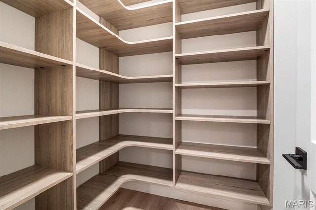 19 Beaver Dr, Creve Coeur, MO 63141 - view of pantry