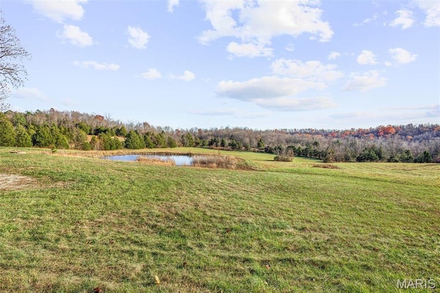 1121 Madison 92103, Fredericktown, MO 63645 - photo 47