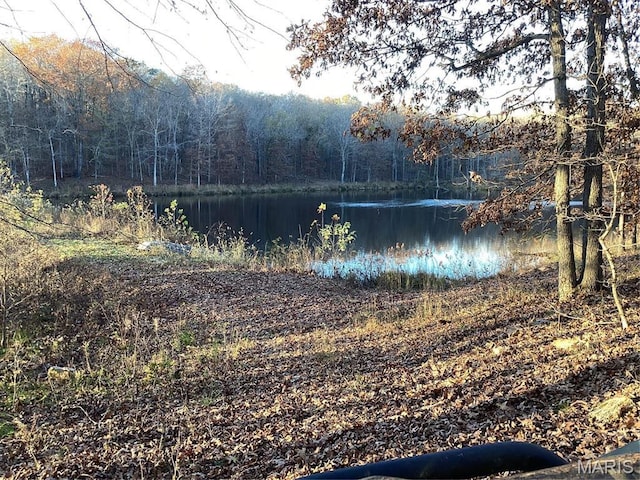 9747 Wayne Route P, Mcgee, MO 63763 - water view with a heavily wooded area