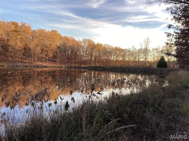 9747 Wayne Route P, Mcgee, MO 63763 - water view with a heavily wooded area