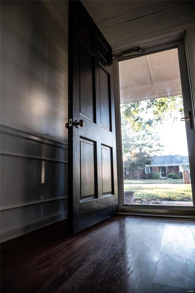 entryway with dark wood-type flooring