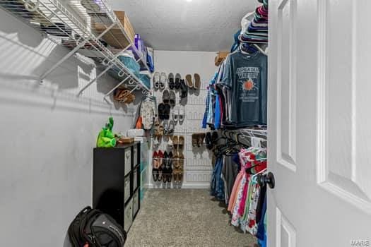 825 Cimarron Cir, Farmington, MO 63640 - spacious closet featuring carpet floors