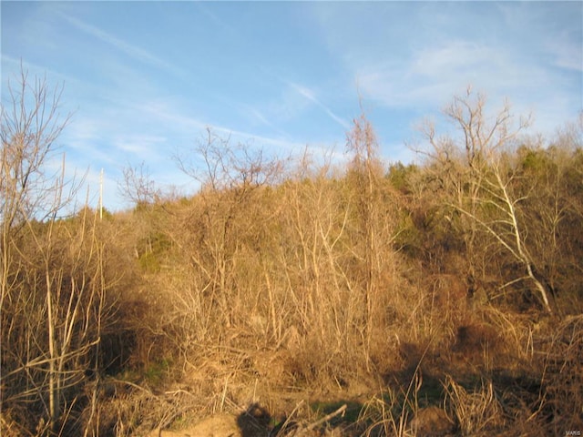 0 Bogy St, De Soto, MO 63020 - photo 2