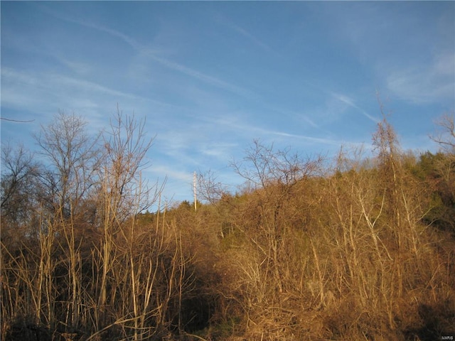 0 Bogy St, De Soto, MO 63020 - photo 3