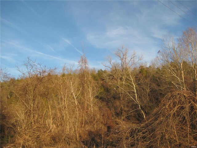 0 Bogy St, De Soto, MO 63020 - photo 4