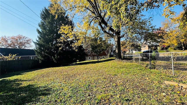 view of yard