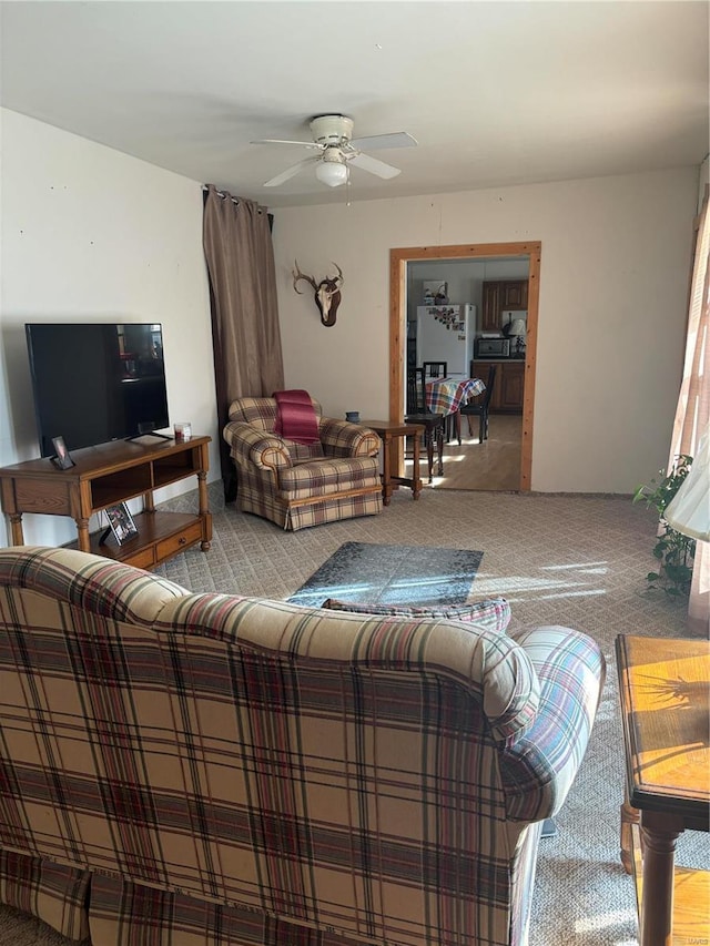 205 Michigan Dr, Ironton, MO 63650 - photo 4