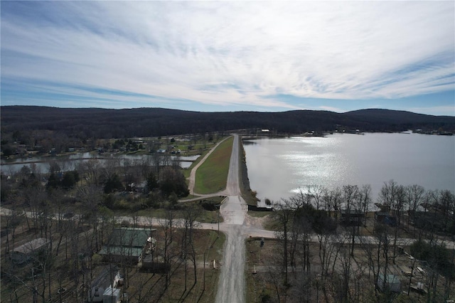 205 Michigan Dr, Ironton, MO 63650 - photo 27