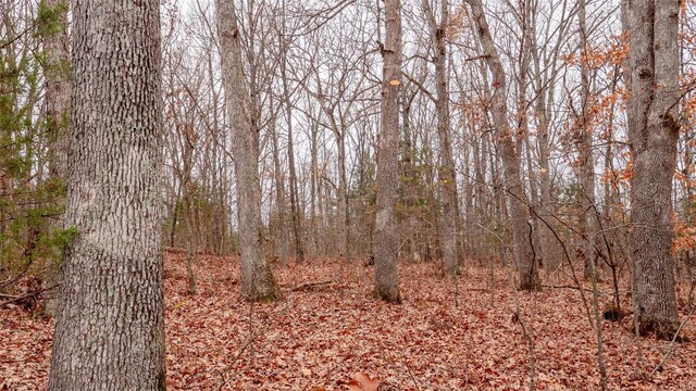 0 Estates Ln, Bonne Terre, MO 63628