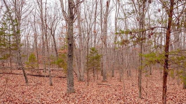 0 Estates Ln, Bonne Terre, MO 63628
