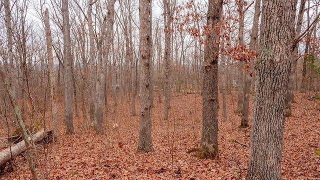 0 Estates Ln, Bonne Terre, MO 63628
