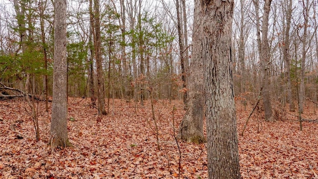 0 Estates Ln, Bonne Terre, MO 63628