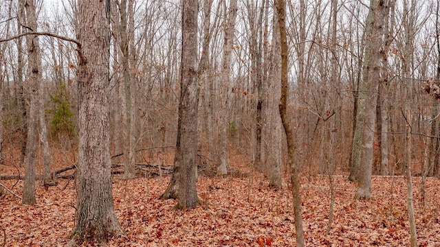 0 Estates Ln, Bonne Terre, MO 63628