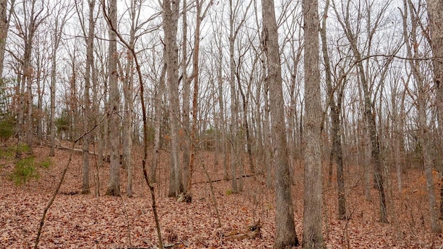 0 Estates Ln, Bonne Terre, MO 63628