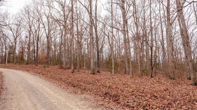 0 Estates Ln, Bonne Terre, MO 63628