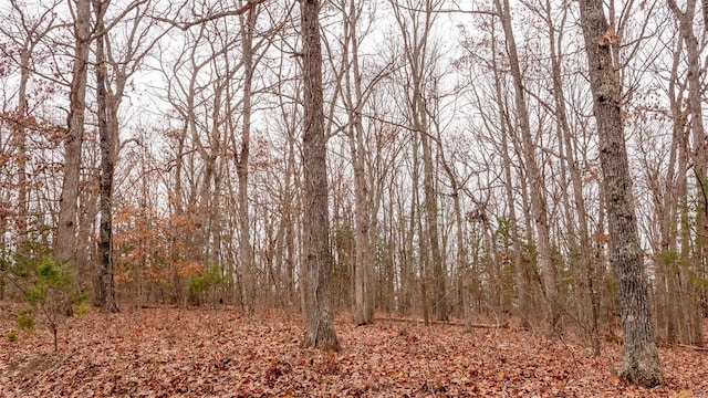0 Estates Ln, Bonne Terre, MO 63628