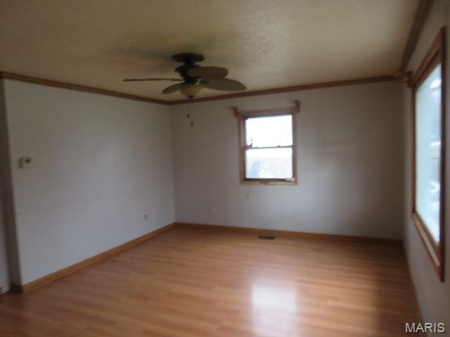 817 S Montgomery Ave, Litchfield, IL 62056 - spare room with ceiling fan, light wood-style floors, plenty of natural light, ornamental molding, and baseboards