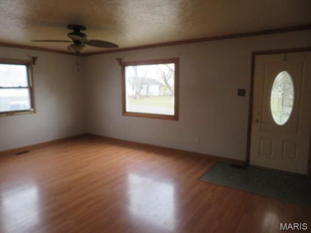 817 S Montgomery Ave, Litchfield, IL 62056 - foyer entrance with a ceiling fan, plenty of natural light, light wood finished floors, and a textured ceiling