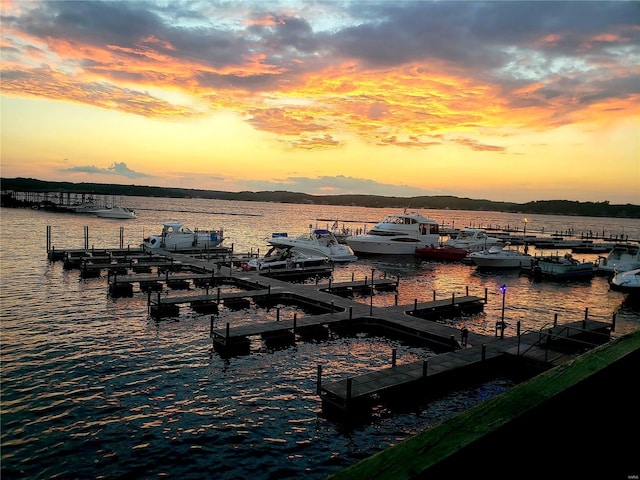 49 Aqua Finn Dr Unit 4A, Lake Ozark, MO 65049 - dock area featuring a water view