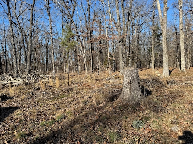 view of local wilderness
