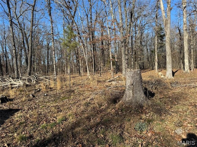 839 Bluebird Ln, Doniphan, MO 63935 - view of nature