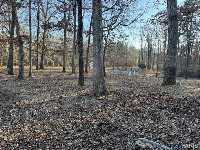839 Bluebird Ln, Doniphan, MO 63935 - view of yard
