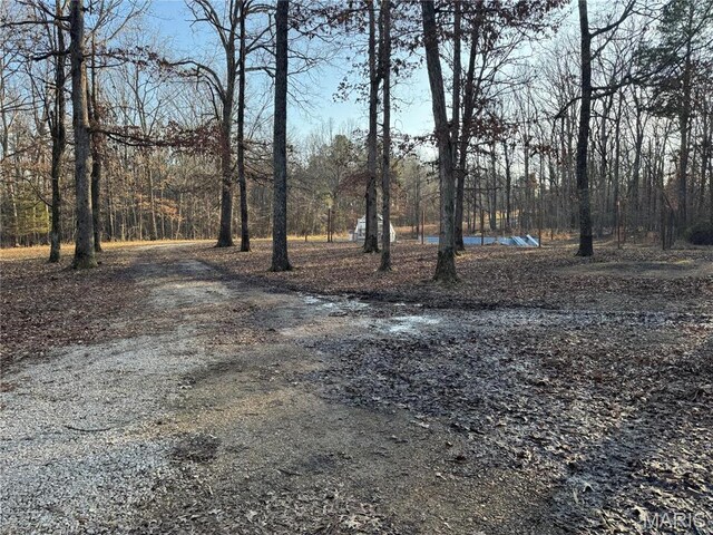 839 Bluebird Ln, Doniphan, MO 63935 - view of yard
