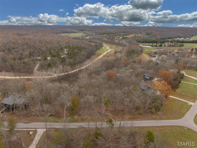 2802 Tyrol Ridge Dr, Innsbrook, MO 63390