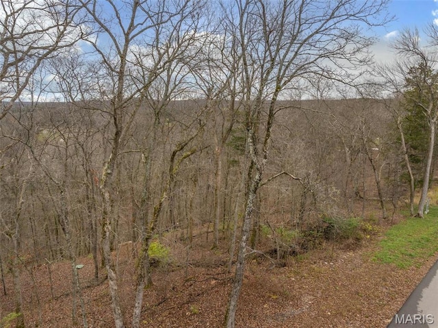 2802 Tyrol Ridge Dr, Innsbrook, MO 63390