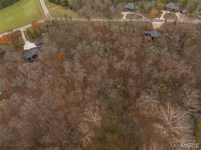2802 Tyrol Ridge Dr, Innsbrook, MO 63390