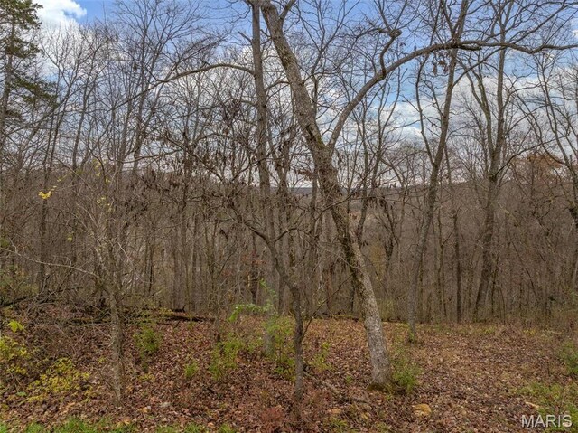 2802 Tyrol Ridge Dr, Innsbrook, MO 63390